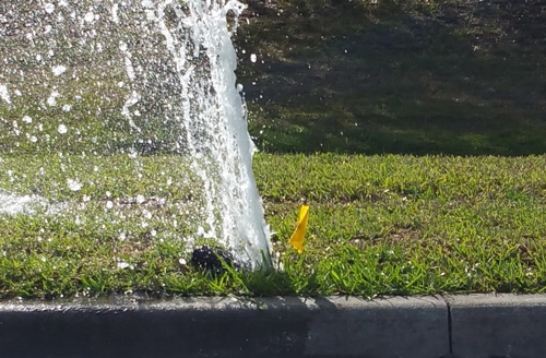 broken sprinkler head